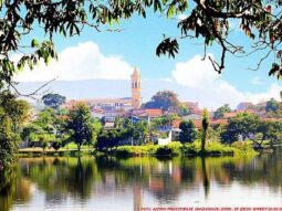 {{brizy_dc_image_alt entityId=