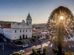 {{brizy_dc_image_alt entityId=