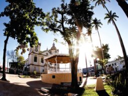 {{brizy_dc_image_alt entityId=