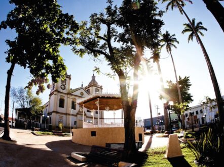 {{brizy_dc_image_alt entityId=