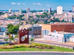 {{brizy_dc_image_alt entityId=