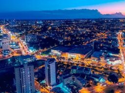 {{brizy_dc_image_alt entityId=